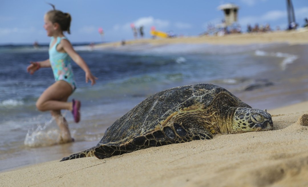 Spencer Allen tweet media