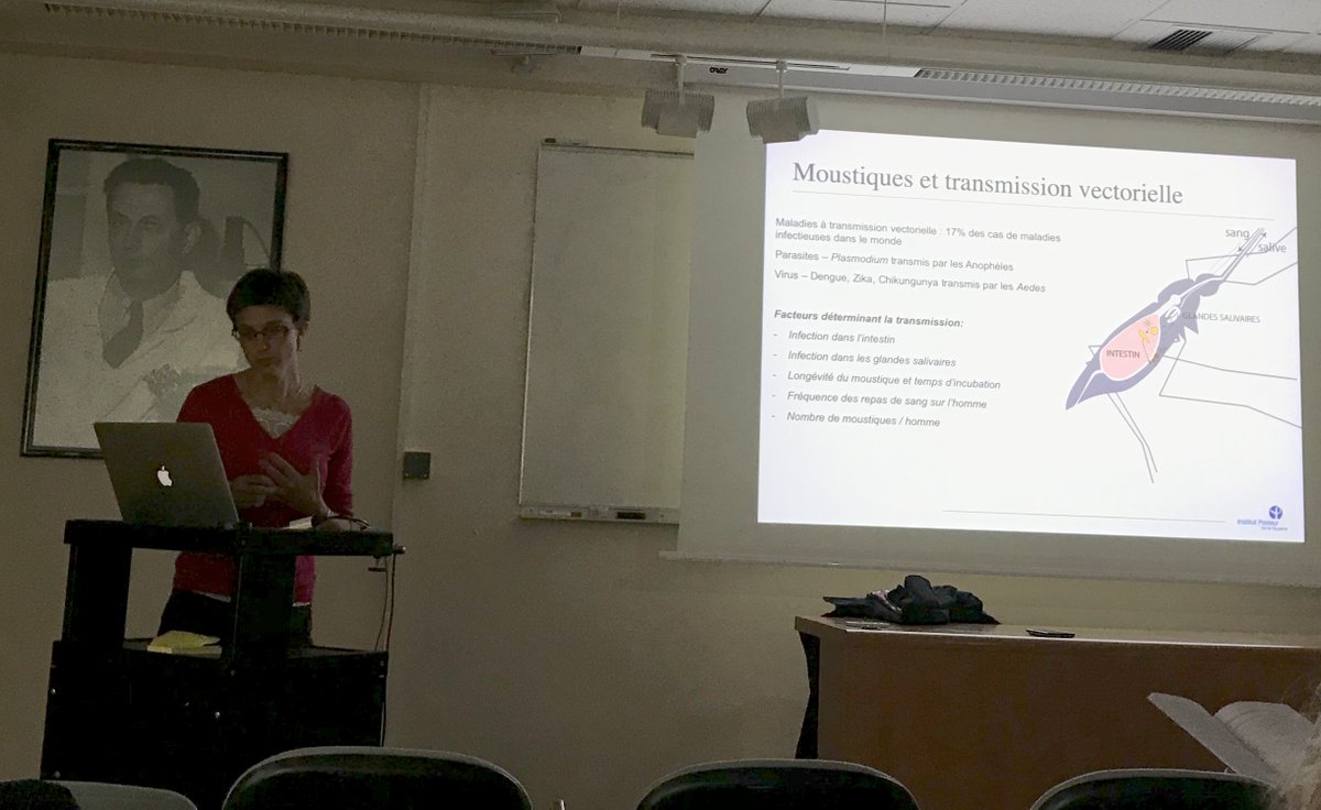 infravec2's tweet photo. Join @infravec2 in congratulating project PI @MathildeGendrin on successfully defending her Habilitation, “Host-bacteria interactions in #insects – Implications in #PathogenTransmission” at @institutpasteur
@GendrinLab #Mosquito #Microbiota #WomenInSTEM #WomenInMalaria https://t.co/OLgaAX55uC