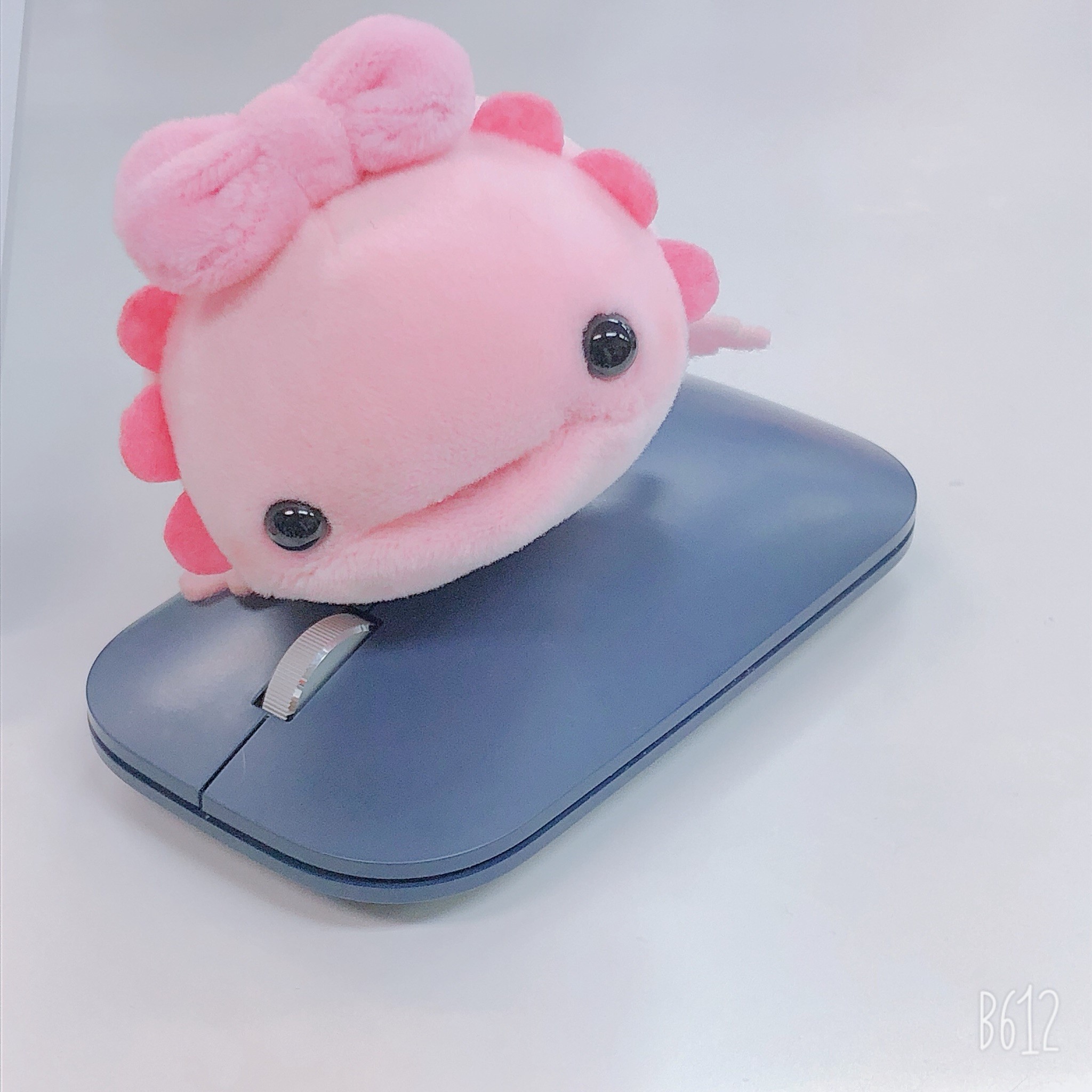 Twitter 上的 日本オート玩具 公式 ウーパーちゃんの日常 おひさしぶり アタイは元気 最近はクリック疲れ 春の新商品 アタイリボン ブーム ウーパールーパー ぬいぐるみ T Co F8wdls6ssf Twitter