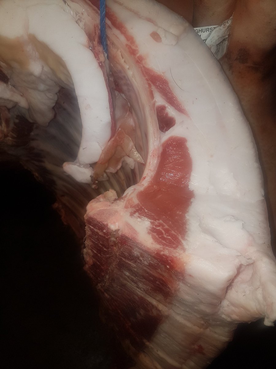 Steve_DeButcher's tweet photo. Is rare breed pork rare for a reason? https://t.co/NvALUwbDC9