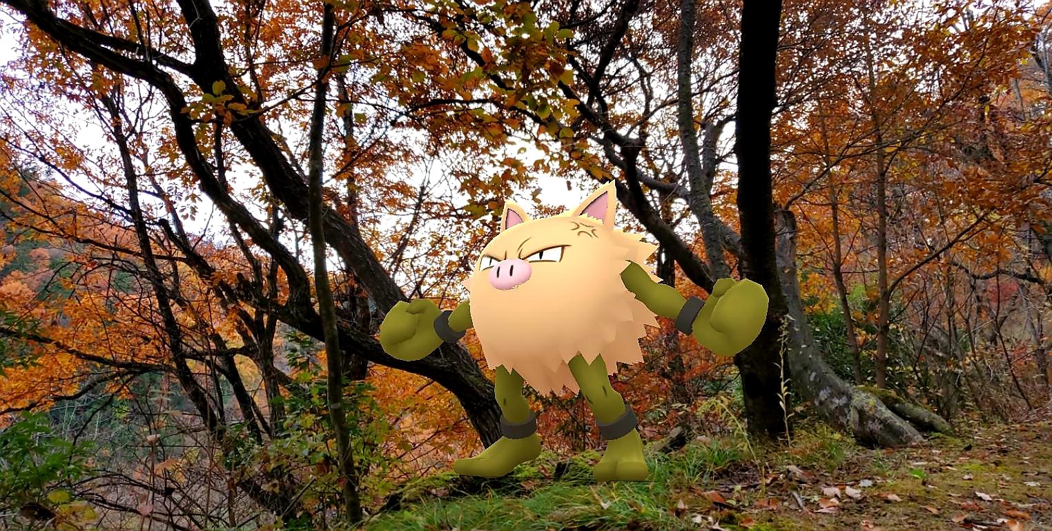 色違いオコリザル Twitter Search Twitter