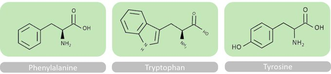 ShikiFactory100's tweet photo. The #shikimate pathway involves several biochemical reactions occurring inside certain living organisms (e.g. #bacteria or #yeast) to produce valuable compounds such as aromatic amino acids. Find out more here
https://t.co/BskWF0La26
#cellfactories #h2020 https://t.co/OqRz4OT9Tc