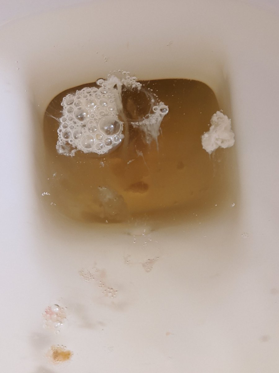 Luvtakingloads1's tweet photo. #cum #toilet #3loads  just dropped the kids off at the pull 3loads from two different  #BBC https://t.co/I4kxW8yBrI