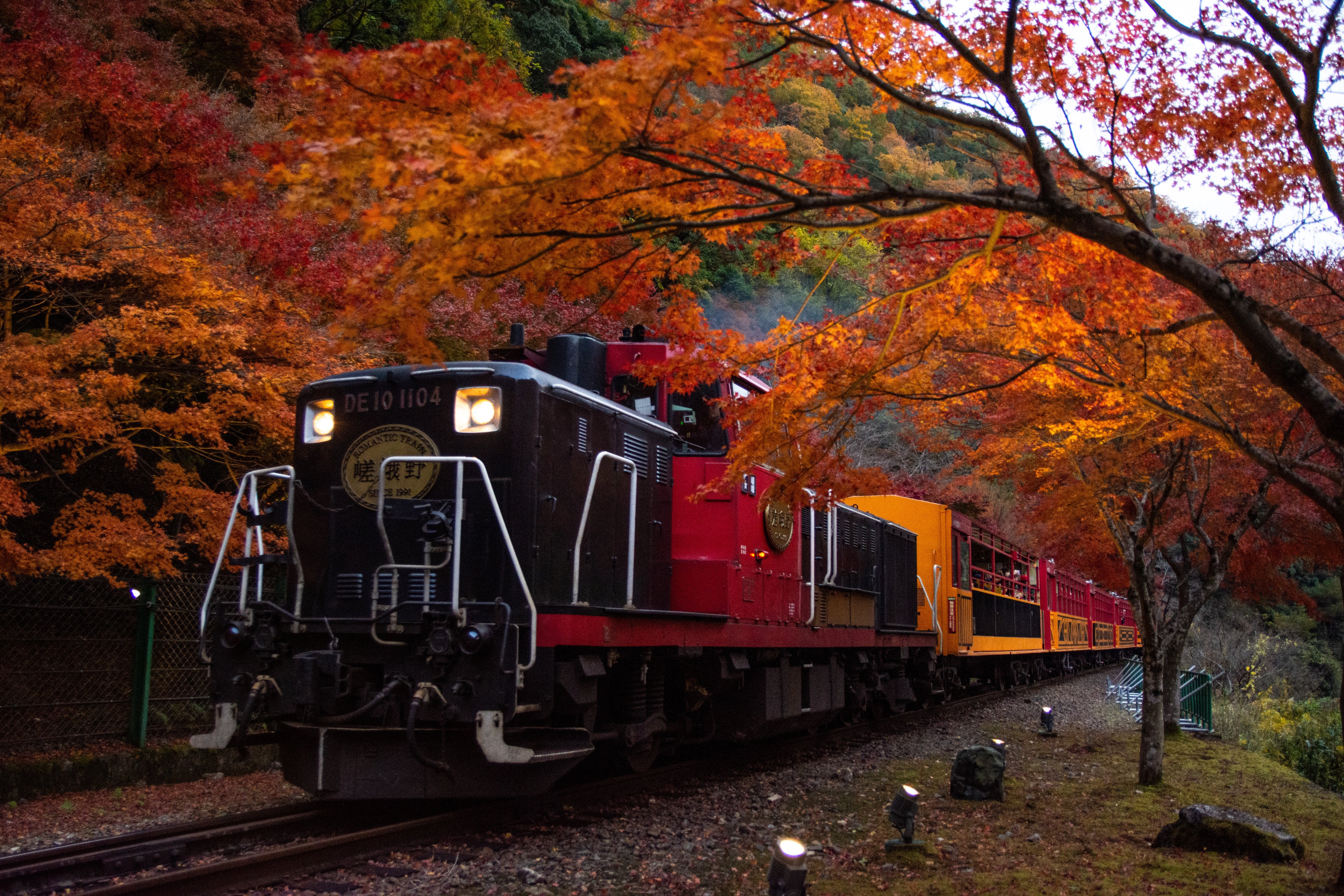 嵯峨野観光鉄道公式 嵯峨ほづき古都便り 細山です 11月26日時点の 嵯峨野トロッコ列車 の紅葉状況です 今年は本当に綺麗に色づきました 京都 紅葉19 ライトアップ T Co Todkczioiw Twitter