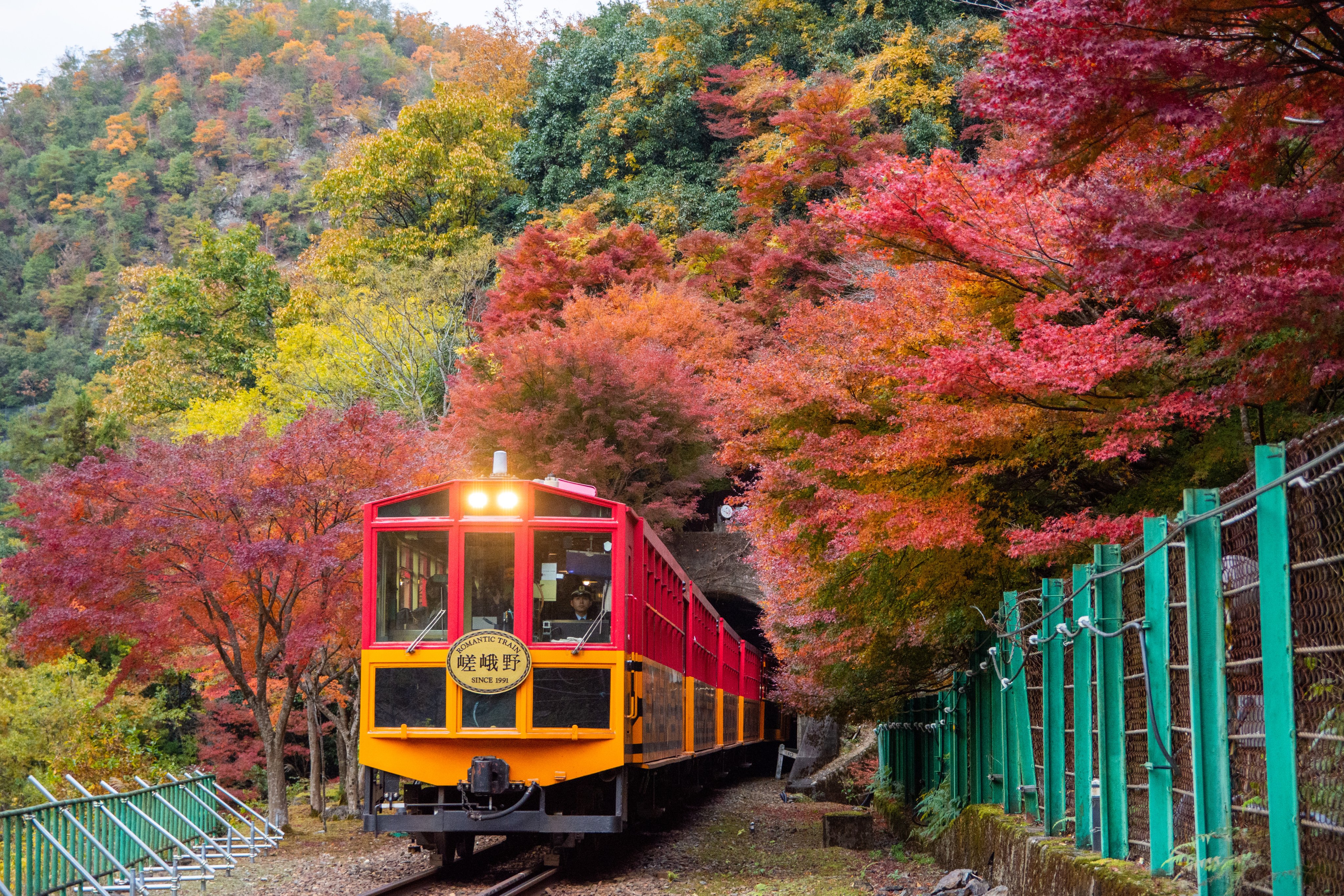 توییتر 嵯峨野トロッコ列車sagano Romantic Train 公式 در توییتر 細山です 11月26日時点の 嵯峨野トロッコ列車 の紅葉状況です 今年は本当に綺麗に色づきました 京都 紅葉19 ライトアップ T Co Todkczioiw