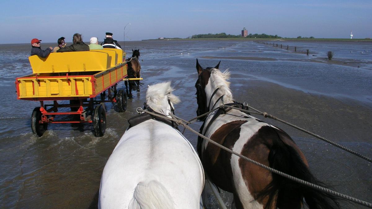 WELT Reise tweet media