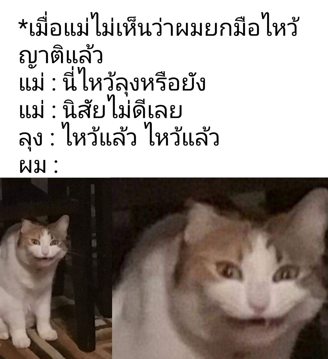 𝙡𝙤𝙫𝙚𝙙 tweet media