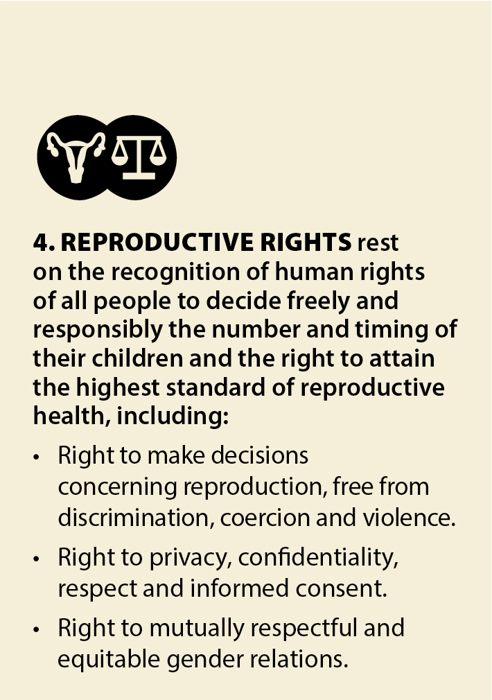 SECTION27 tweet media