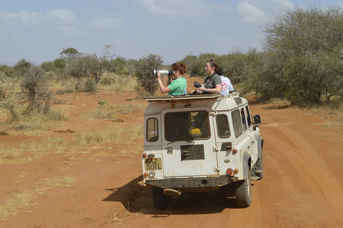 GrevysRally's tweet photo. Do not be left behind, Make sure to secure your spot in the GGR 2020 rally by paying your team's registration fee of Ksh 2,000 through our MPESA PAY BILL 919554. https://t.co/lZr8MCmM2r