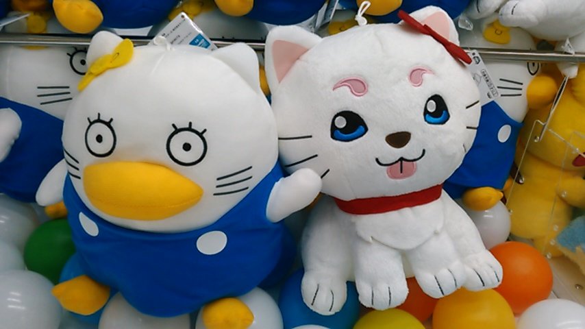 ソユーゲームフィールド八戸店 Auf Twitter 銀魂 サンリオキャラクターズ でっかいぬいぐるみ 定春 エリザベス 銀魂とハローキティのコラボレ ション ソユー ゲームフィールド八戸店 サンリオ 銀魂 定春 エリザベス ソユーゲームフィールド八戸店 Auf Twitter 銀魂 サンリオキャラクターズ でっかいぬいぐるみ 定春 エリザベス 銀魂とハローキティのコラボレ ション ソユー ゲームフィールド八戸店 サンリオ 銀魂 定春 エリザベス