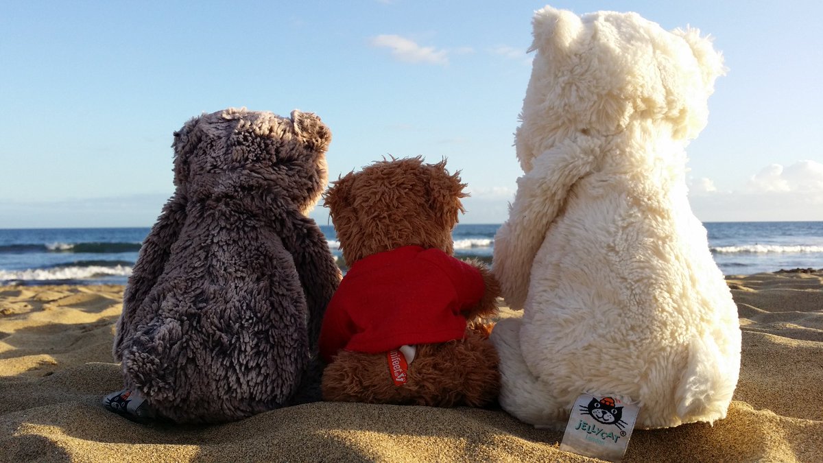 Brombelbeer tweet media