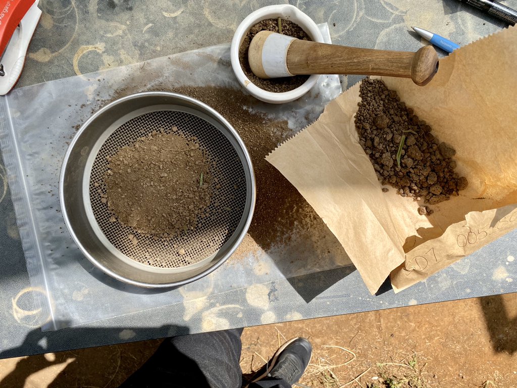 BGSSophia's tweet photo. I spent the past 3 weeks in western Kenya, training in the field and sampling soils for my PhD research! It was an amazing experience and I’m looking forward to further fieldwork in the future 📚🇰🇪 #foodsecurity #soilerosion #lakevictoria @BritGeoSurvey @PlymUni @ARIES_DTP https://t.co/L0lKHzTHb7