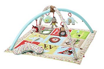 skip hop activity gym australia