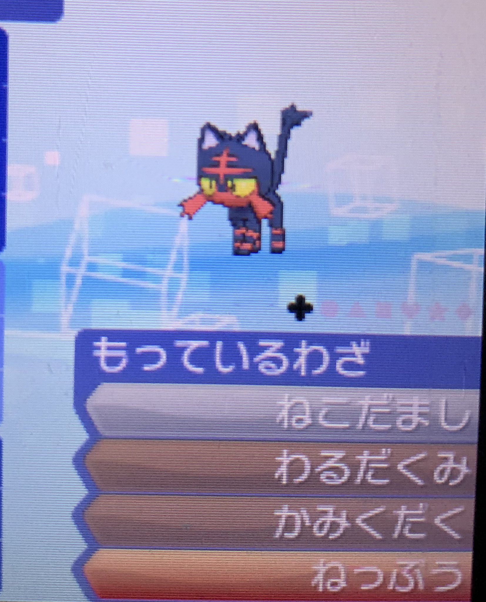 Uzivatel 嶋田 Na Twitteru ポケモン交換 譲 威嚇ニャビー 性格意地っ張り C抜け5v 求 改造でないポケモンなら何でも サンムーンでの募集です 剣盾ではありません 残り18匹います 技は画像から確認してください 欲しい方はリプお願いします T Co