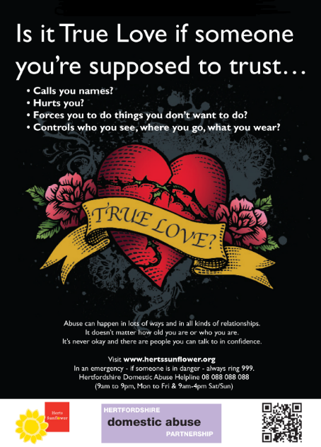 Today is the Hertfordshire Domestic Abuse Conference for professionals and volunteers to share experience and knowledge. Through partnership working we are taking a stand against domestic abuse and learning how we can make a difference to anyone affected in #Herts #16days