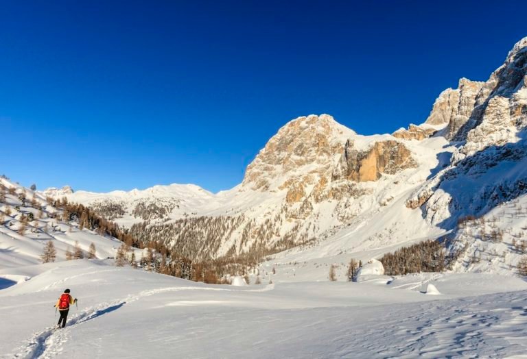 Pale di San Martino, Dolomiti. Ci aspetta una ciaspolata memorabile, ed è solo una delle grandi avventure che vivremo insieme a dicembre!
guidemarcopolo.it/dove-andare-a-…