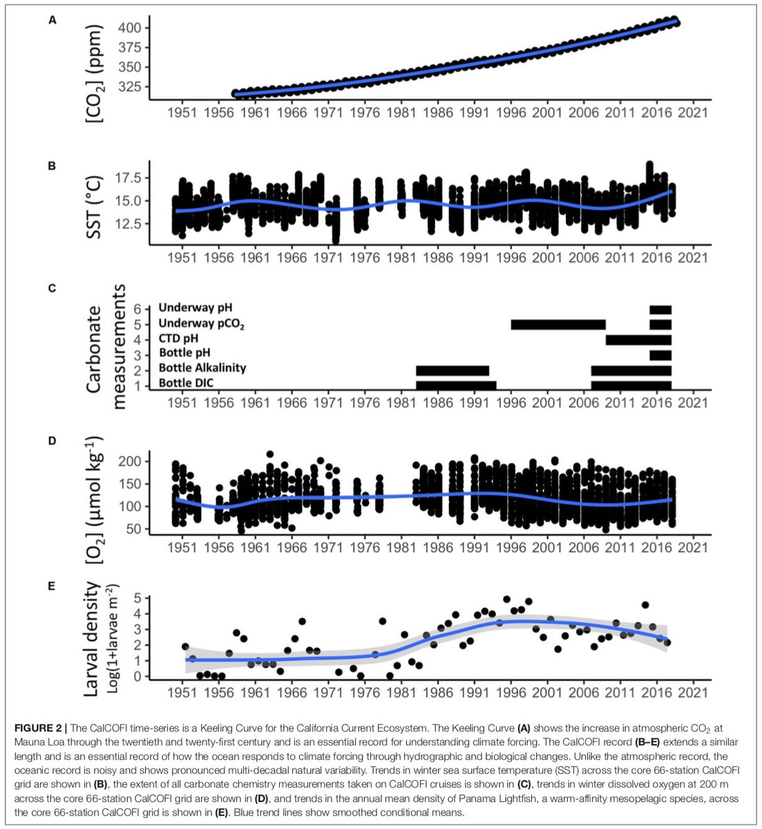 We found that the  #CalCOFI Program has climate change-relevant time series of hydrographic (0-500 m) and biological variables that extend the full length of the  @Keeling_curve. That’s pretty amazing. Many studies with  #CalCOFI data offer guidance for how climate affects the  #CCE