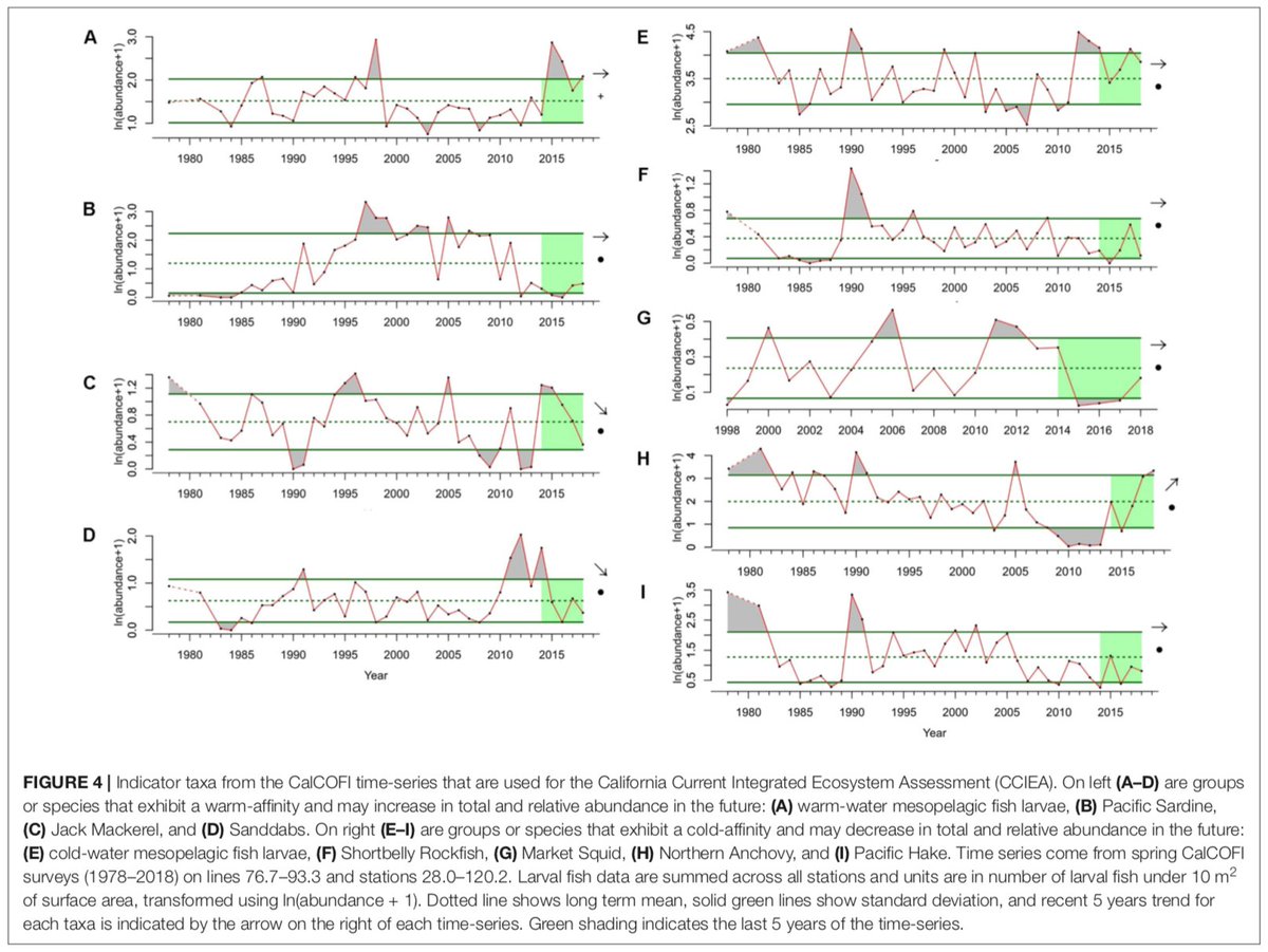 We identified a number of ways physical and biological measurements from  #CalCOFI were being used to support fisheries and ecosystem decision-making. For example, the ichthyoplankton time series are used as indicators in the California Current Integrated Ecosystem Assessment