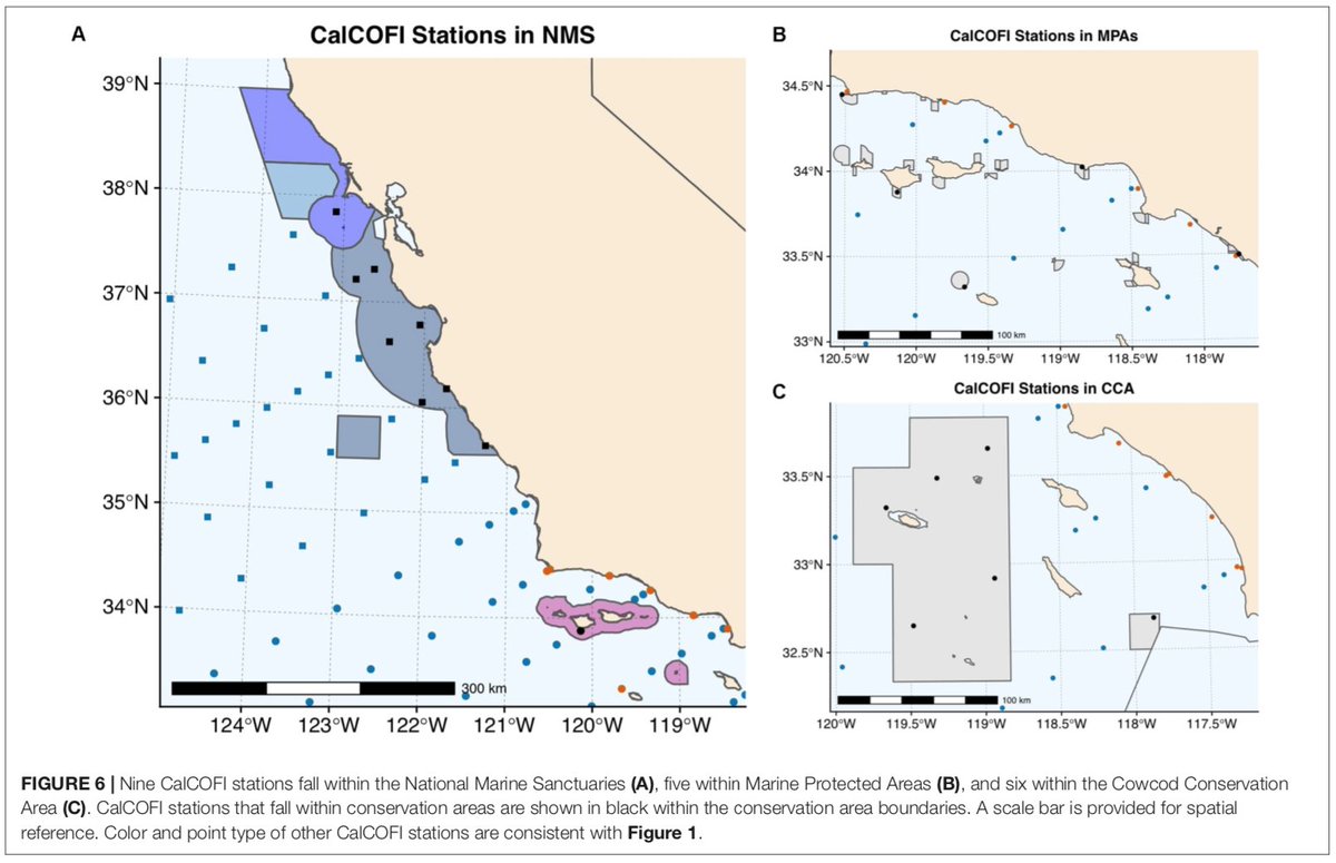 We also conducted a spatial analysis to look at how the  #CalCOFI sampling grid overlaps with different conservation jurisdictions including the Cowcod Conservation Area, California  #MPAs, and the National Marine Sanctuaries  @CaMPAMnetwork  @CA_MPA_CN  @sanctuaries