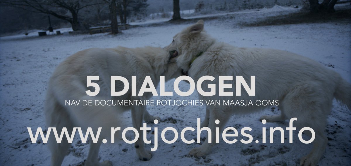Wat als we ECHT met andere ogen gaan kijken?
#rotjochies 5 DIALOGEN

rotjochies.info

<a href="/MaasjaOoms/">Maasja Ooms</a> #2doc <a href="/NPO2/">NPO 2</a> <a href="/WillemijnCER/">Cerutti Film</a>