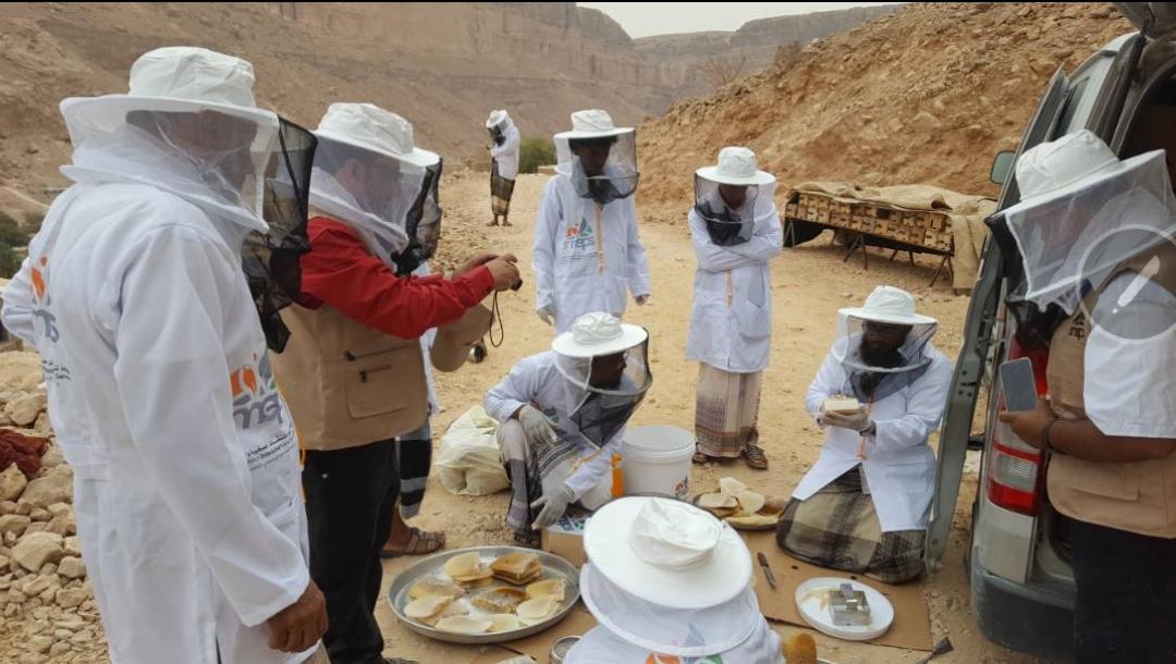 095679Abdullah's tweet photo. Yemen is renowned for its Sidr honey, which is named after the tree from which the nectar is gathered and is informally known as "Middle Eastern manuka". https://t.co/iaTZCFsqUf