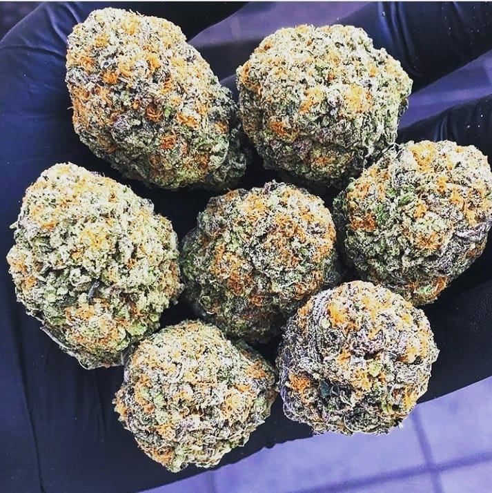 WilsonPlug's tweet image. Contact sur:/+ 33 6 44 66 14  60 
Wickr :beuhfr12 
All!!!!#franceweedsmokers  #franceweedsmokers #franceweek #weedporn #weedamax #weed