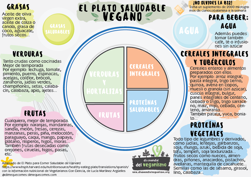 Dieta plato saludable Dieta plato saludable