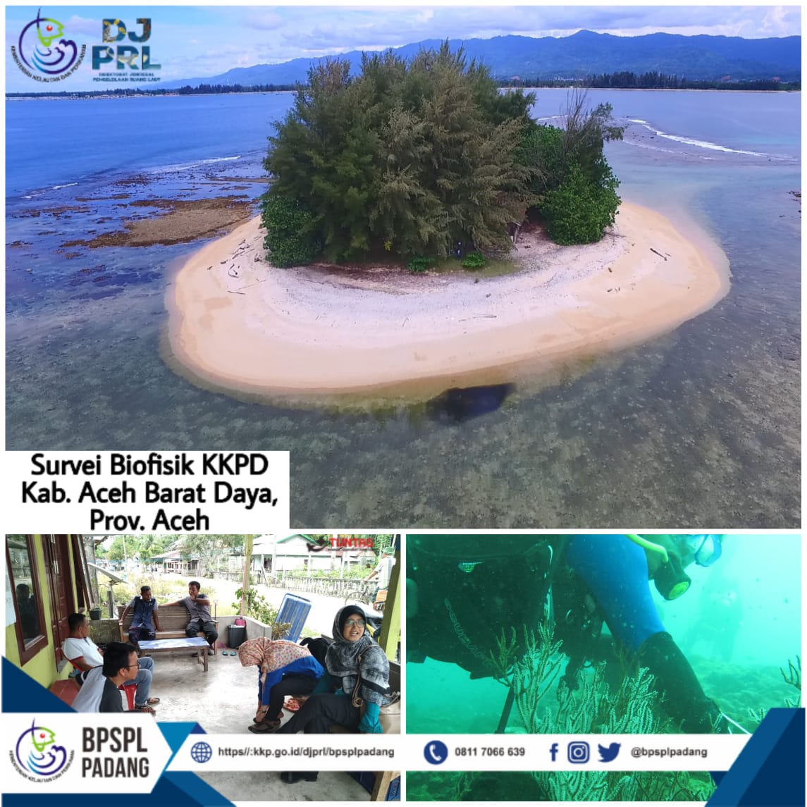 BPRLPadang's tweet photo. Kamis-Minggu (21-24/11) lalu BPSPL Padang mlaksanakan survei Biofisik #KKPD Kab. Abdya Prov. Aceh
Kegiatan ini dilaksanakan dlm rangka pengumpulan data dg hasil survei yg dianalisis & disampaikan dalam #KP π
Slengkapnya d https://t.co/7l92ejaMx9
@satyamurti
#DITJENPRLKeren https://t.co/k4CDyICuhs