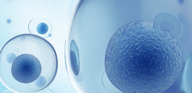 TohokuUniPR's tweet photo. New molecules that tag cellular components for removal could lead to drugs for a wide range of diseases.
#TohokuUni #japan
#research #AUTAC 
https://t.co/FlLxQtOt6J https://t.co/t8R5BzQpE9