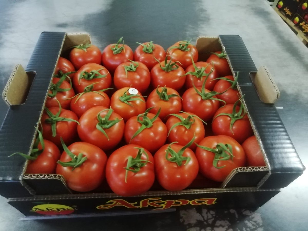 AkpaTurkey's tweet photo. Tomato from Antalya region.
First quality for reasonable price
Don't lose this opportunity
MOQ - 1 container / 1 truck
We collect, calibrate, pack and pack goods.
Packaging - plastic, wood, cardboard, optional.
We have a full pack of documents for products.
#tomato #akas #akpa https://t.co/3cbxLg664M
