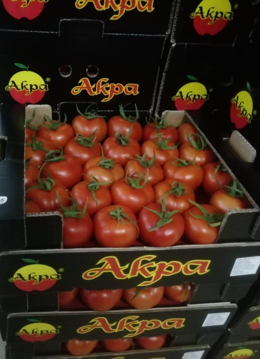 AkpaTurkey's tweet photo. Tomato from Antalya region.
First quality for reasonable price
Don't lose this opportunity
MOQ - 1 container / 1 truck
We collect, calibrate, pack and pack goods.
Packaging - plastic, wood, cardboard, optional.
We have a full pack of documents for products.
#tomato #akas #akpa https://t.co/3cbxLg664M