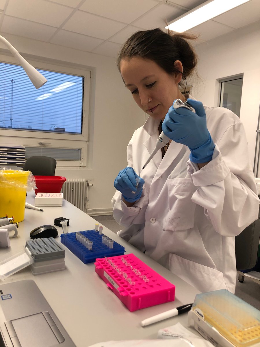 CMD_lund's tweet photo. Första kliniska proverna för helgenomsekvensering av MRSA! Go mikro WGS! https://t.co/Cz2RWuqL1d