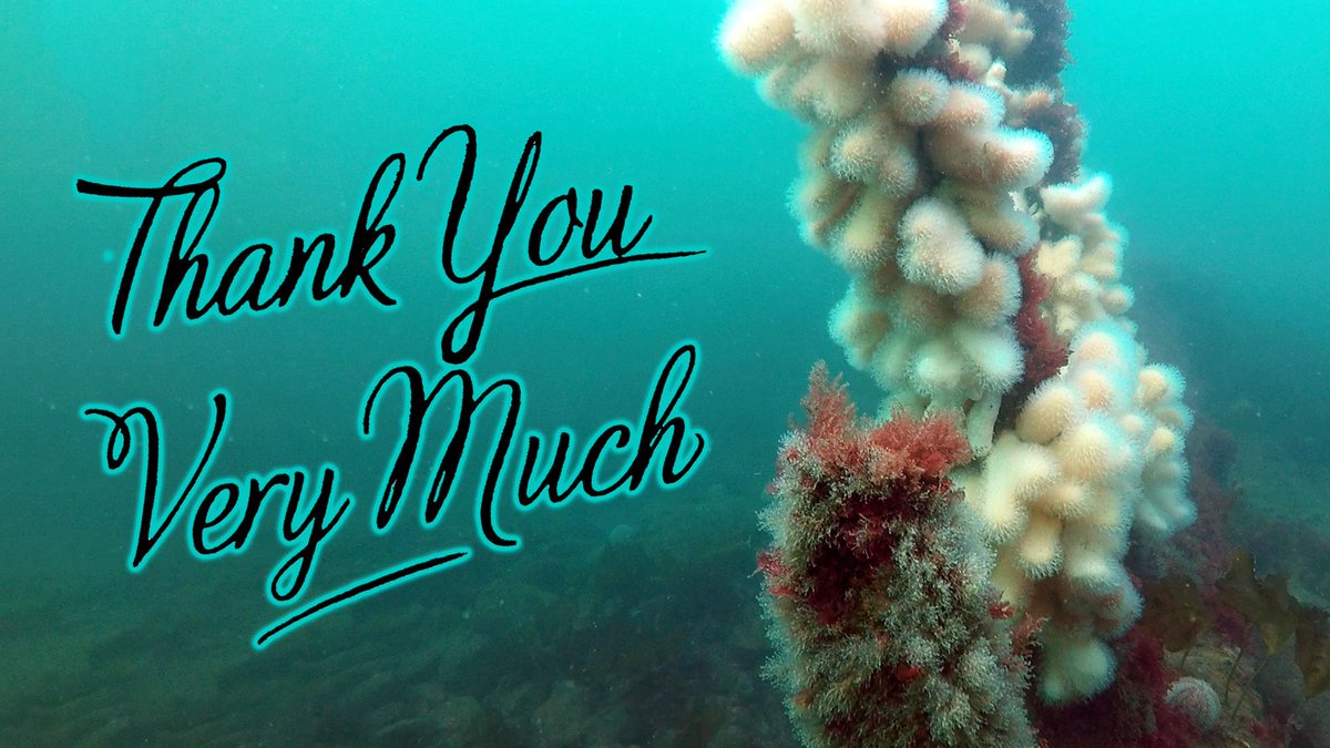 HGSAC_BSAC's tweet photo. Thank you to the wonderfully knowledgeable Wendy Northway for running the Marine Life ID course for us. It's been a fantastic four weeks. We're all much wiser about what we see underwater and realise how much more we have to learn! #whatsthatfish 🧐🐟 @BSACdivers @_Seasearch https://t.co/6sQi2HZOnL
