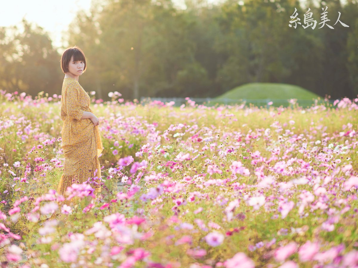 itobijin's tweet photo. そして今年最後のコスモスを観に、ここに戻って来ました。

model: SACHI
photo: KEN HIDAKA

#福岡 #糸島 #糸島美人 #糸島観光 #平原歴史公園 #平原遺跡 #伊都国 #コスモス #美人 #美女 #モデル #ポトレ #ポートレート #モデル募集 #被写体募集 #美人モデル #福岡モデル #少しでもいいなと思ったらRT https://t.co/1bEYyDYNTQ