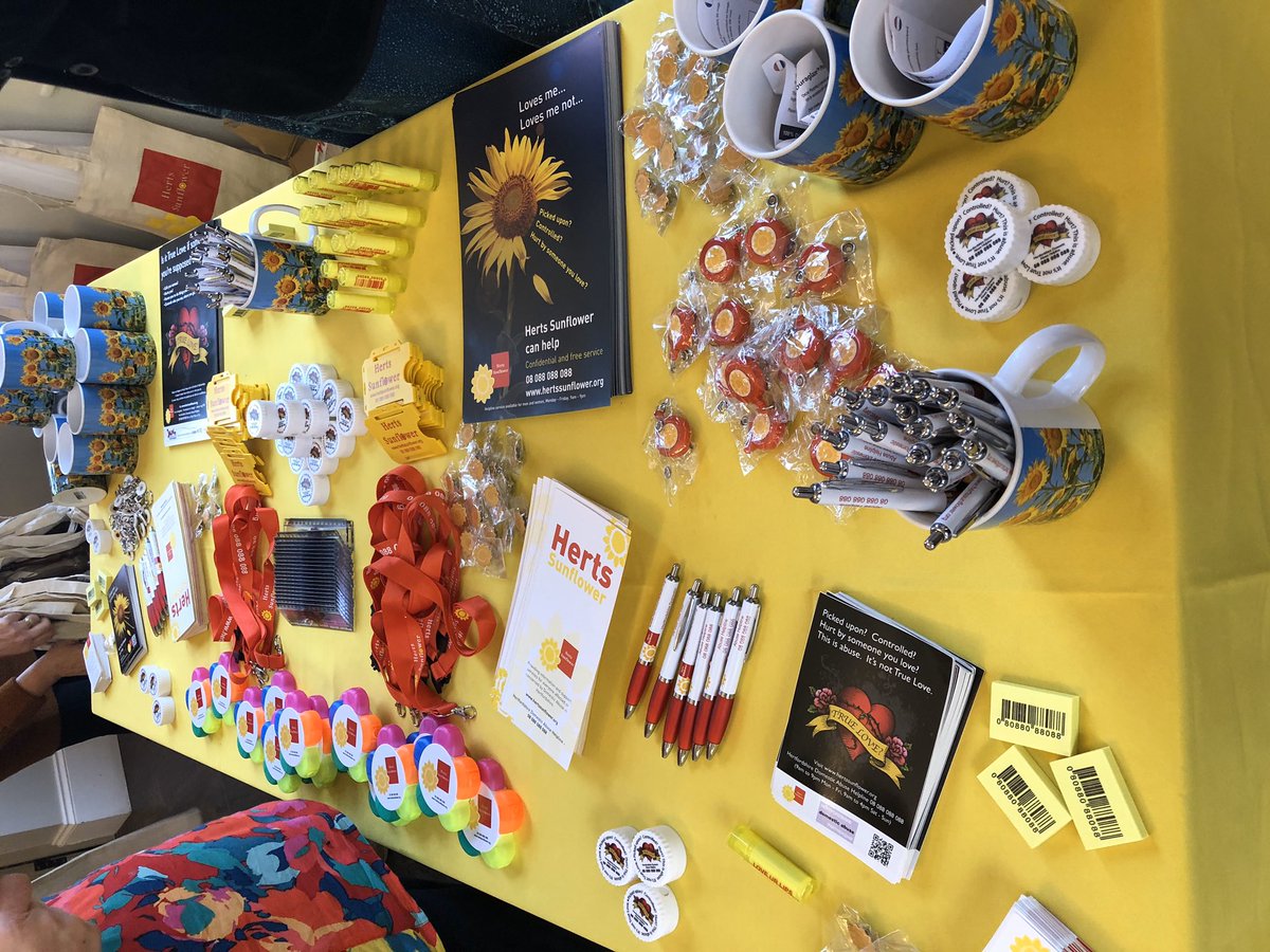 Very excited for today’s Hertfordshire Domestic Abuse Conference 2019 #hertsda19 <a href="/HertsTraining/">Adults Practice Development Team</a>