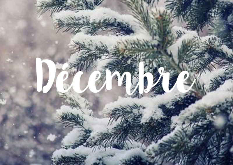 InstedChamonix's tweet photo. #WednesdayVibes Check out some #Chamonix events this #December 👉https://t.co/2kFMgDKUbk👈 https://t.co/4evS3oxqmh