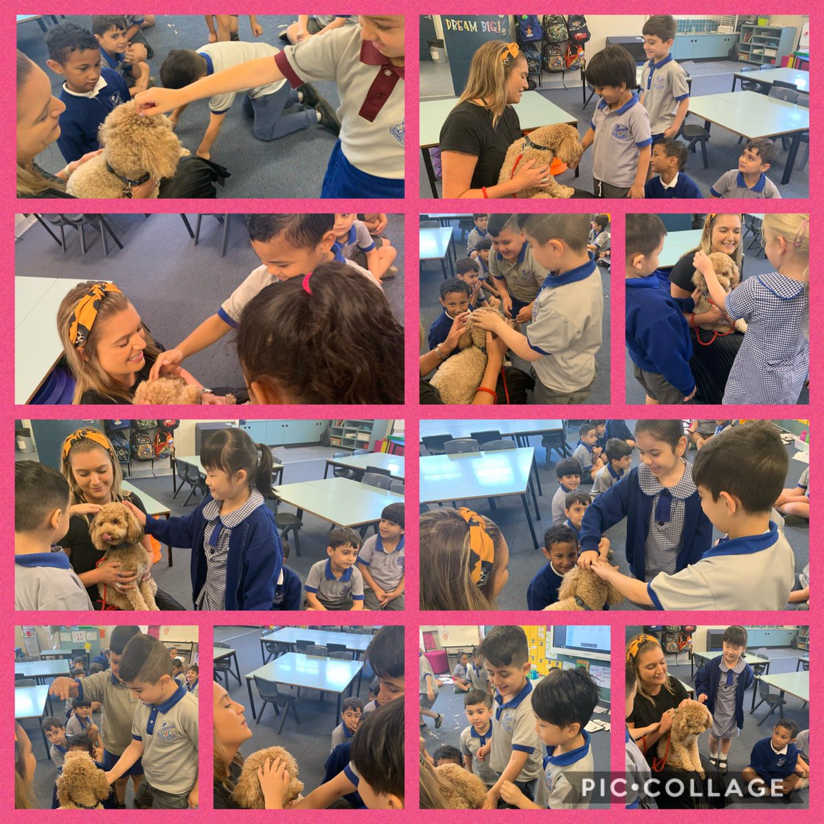 Thank you to <a href="/HoarauLouise/">Louise Hoarau</a> and Rupert for visiting KD! Rupert had gentle pats from everyone (including myself 🙊) <a href="/fairvaleps/">FairvalePS</a>