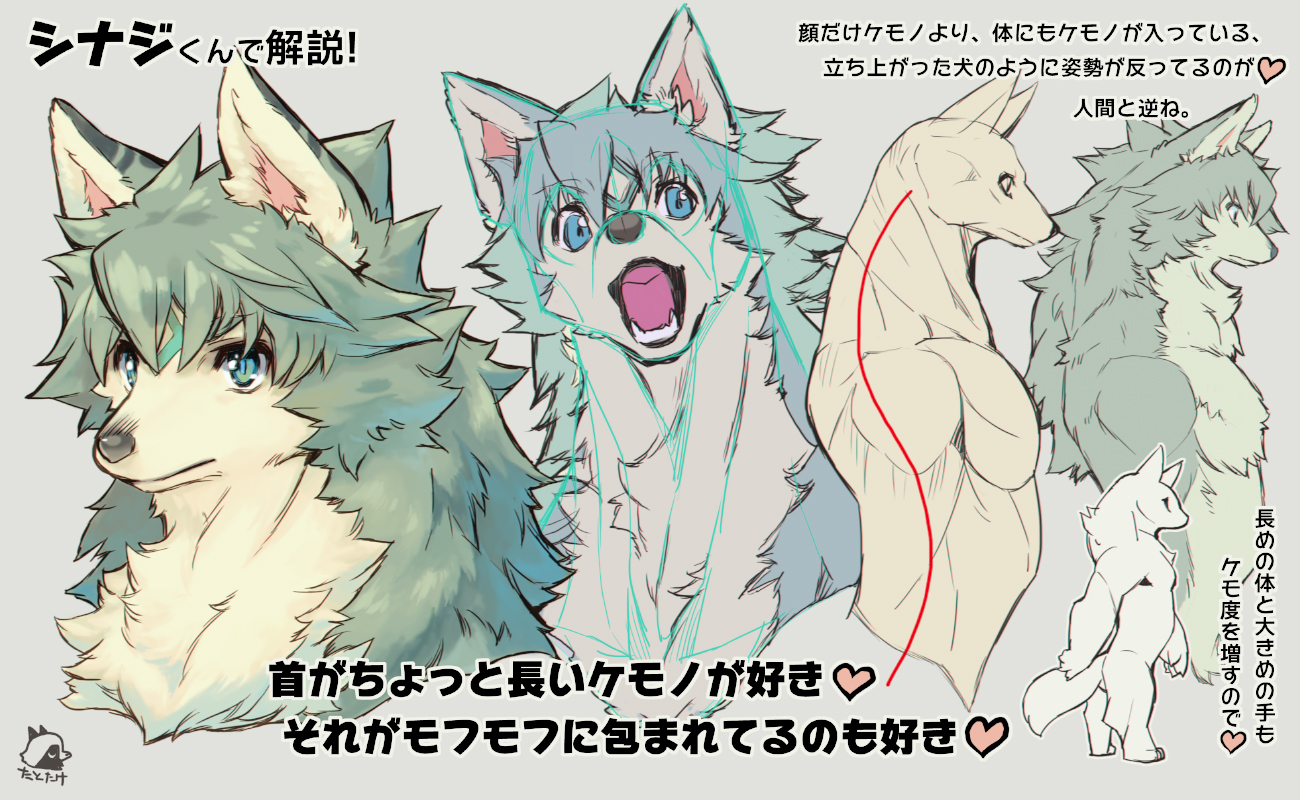 Twitter 上的 外竹 たとたけ しばらくケモ絵を描いてなかったのでストレス発散がてらつらつらと ケモノの描き方なんて本も発売されてる最近 描きたい人は自分なりのモエポインツがあるともっと楽しくなるよという意味で自分の好みを出してみた そんなに気に