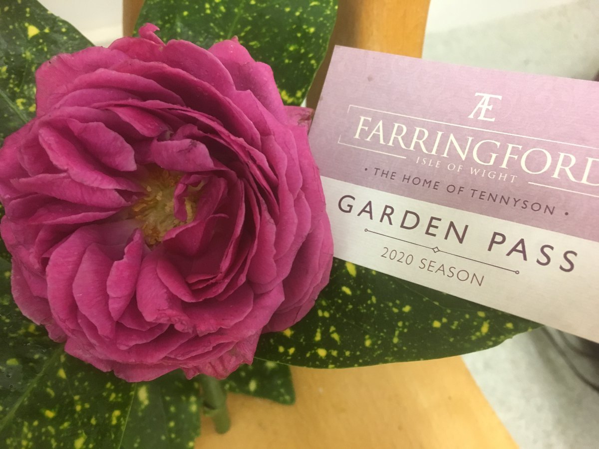 What do you like about #Tennyson's #poetry?  If you have not visited his home on the #IsleofWight before you may be inspired to see the surroundings he chose for his #family.  Share your love of Tennyson with a friend and come together and see the 'Careless ordered Garden'.