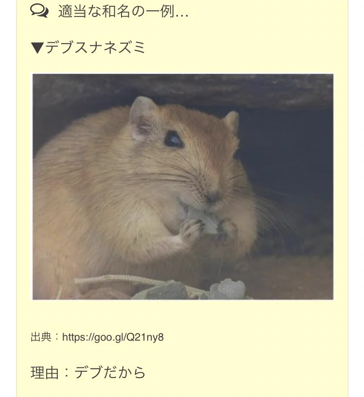 デブスナネズミ？適当な名前をつけられた動物がかわいそう…。
