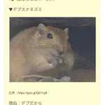 デブスナネズミ？適当な名前をつけられた動物がかわいそう…。