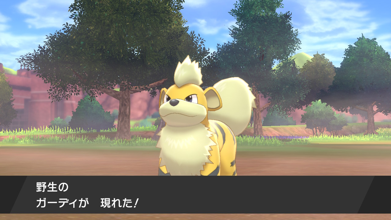 5 うわーーーんポケモン剣盾初色違いはガーディでした うそだろーーー ポケモン剣盾 Nintendoswitch T Co 7l4liifczj Twitter