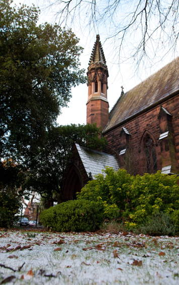 uocfacilities's tweet photo. It's #NationalTreeWeek week @uochester, so why not take some time out to stroll around our campuses, and see the great selection of trees our Grounds and Gardens team work so hard to look after 😀 https://t.co/dCxLNeQ1YB