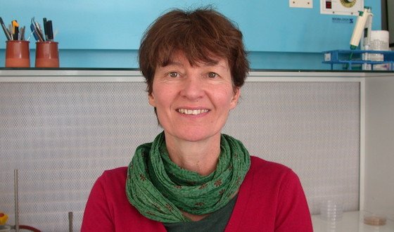 LA MAÎTRISE DU DÉROULEMENT DES MALOS, UN SUJET COMPLEXE EN COURS D’ÉTUDES
Sur le plan des connaissances scientifiques, cette fermentation malolactique n’a pas encore livré « tous ses secrets ».
bit.ly/2L18eq6
#LePaysanVigneron