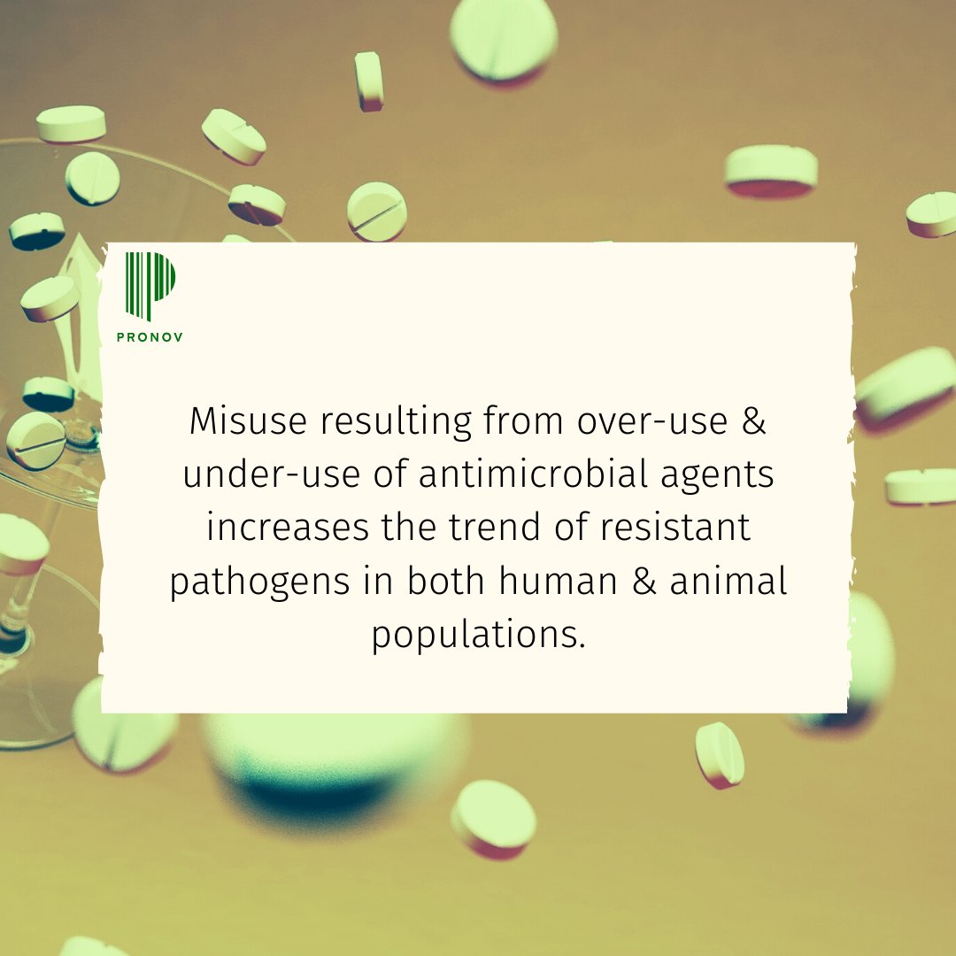 Pronov Health tweet media