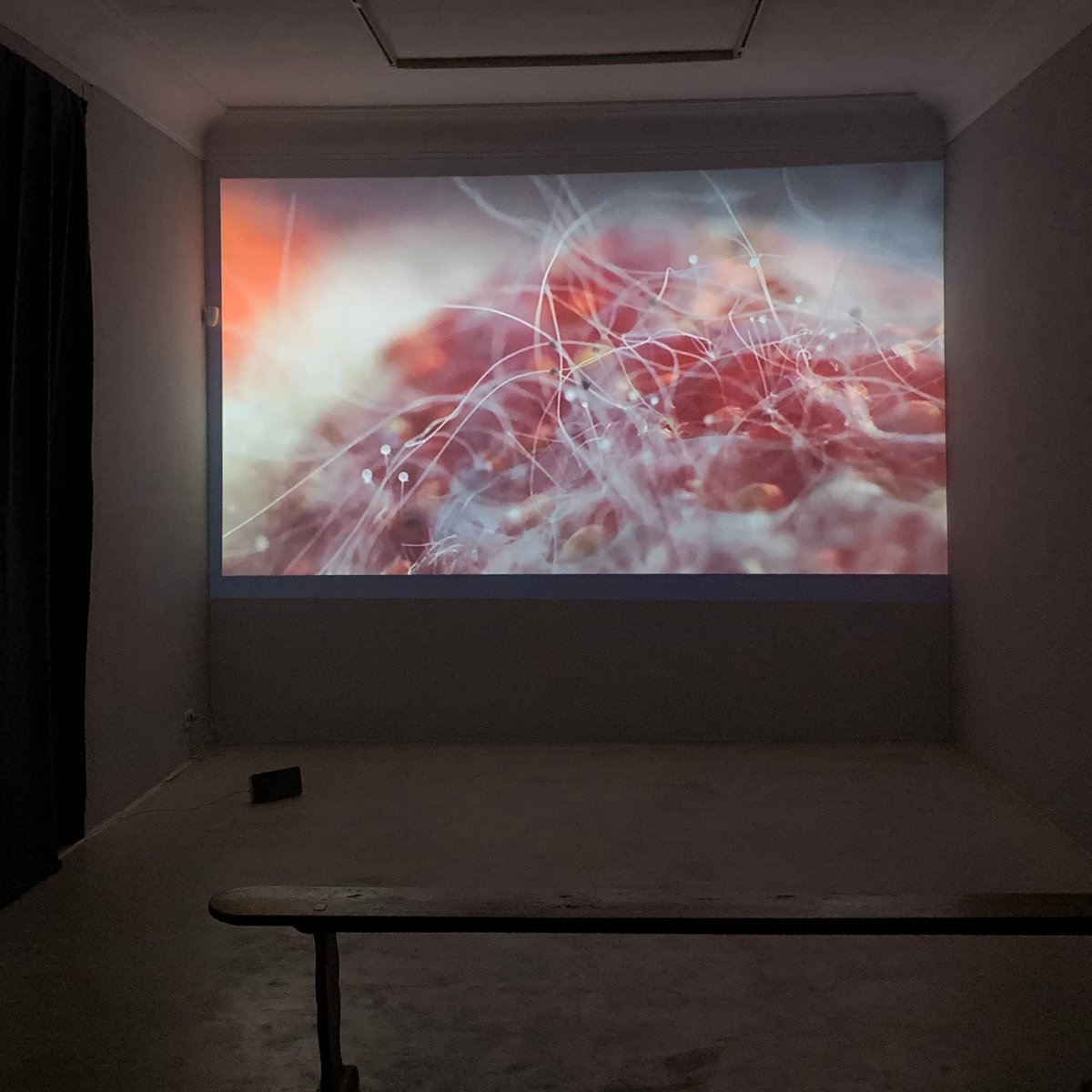 MichelSoskine's tweet photo. #MomokoSeto Tokio 1980
Planet ∑ to ∞= PLANET M
Video Instalación y gafas de Realidad Virtual
+ Info: https://t.co/yL6kkUBDt8
Hasta el 18.01!
#exposicionesmadrid #distrito28004 #videoarte #artgallery #michelsoskine https://t.co/WjbGQw99kt