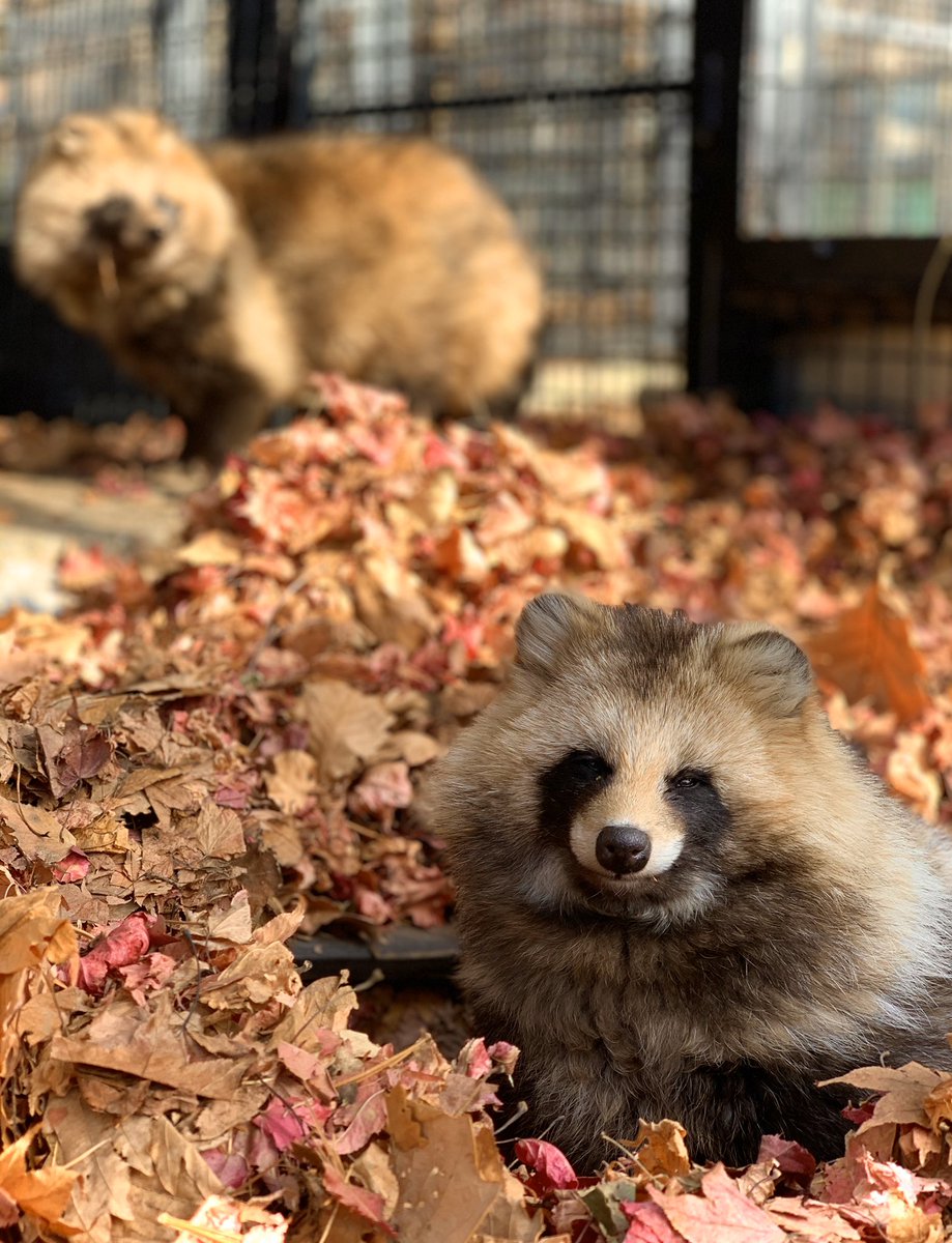 動物園 帯広