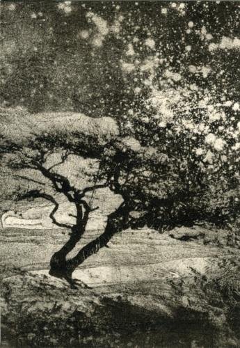 Artist of the week Rebecca Payn

"Hawthorn" original digital print

rebeccapayn.co.uk #Cumbria