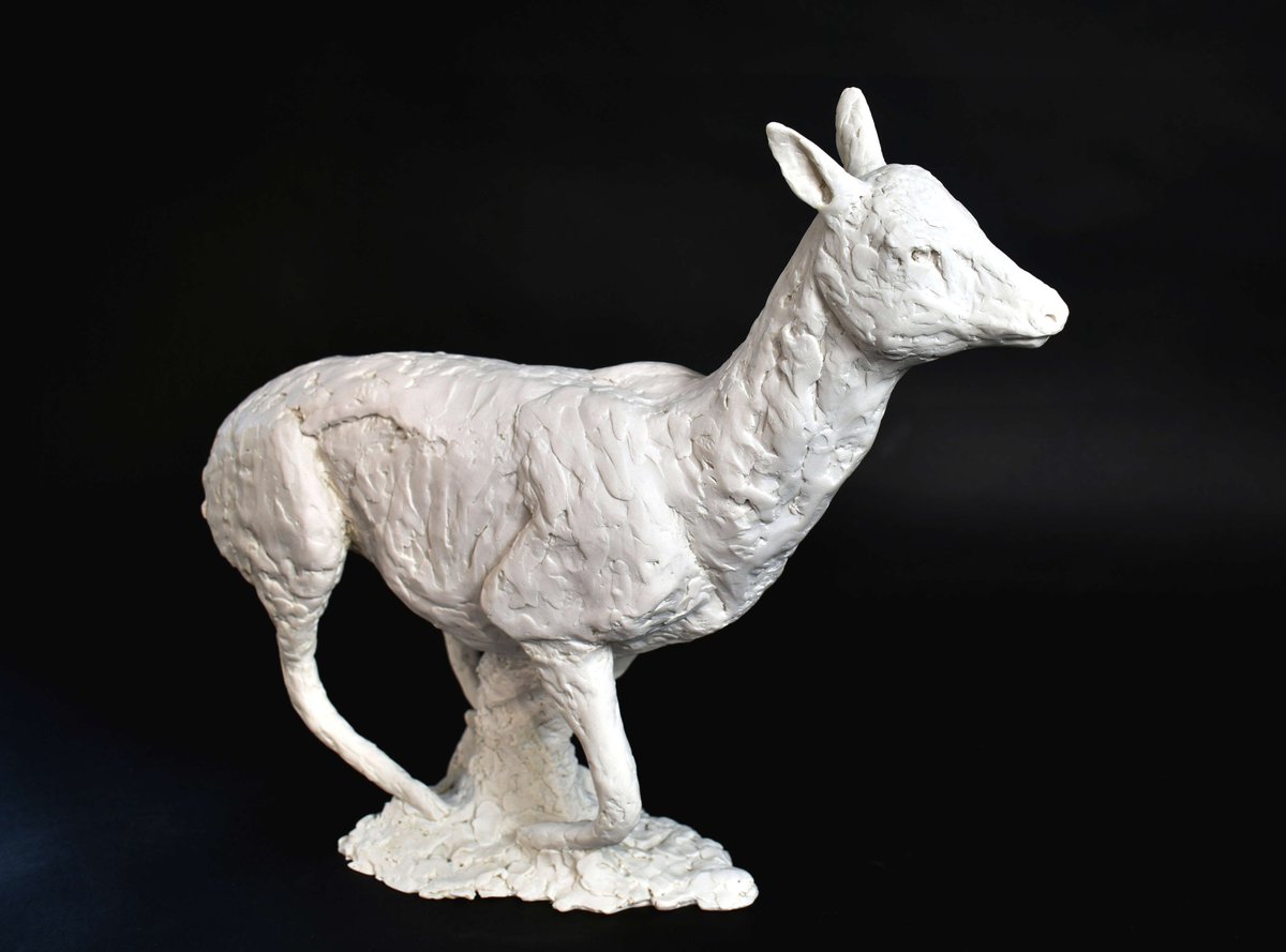 ElliotChanner's tweet image. New marble roe deer suitable for both indoor and outdoor display 

#marble #roedeer #sculpture #wildlifeart #gardenart #interiordesign #limitededtition #deer