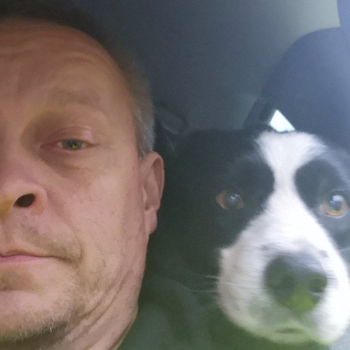 timppalive's tweet photo. On the road again #timppalive https://t.co/TLhsXyU9fw